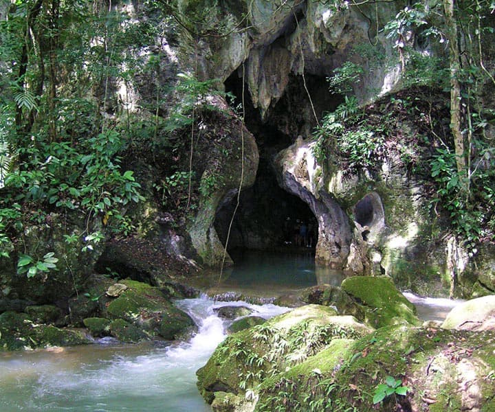 A lush jungle scene featuring a cave entrance beside a flowing stream.
