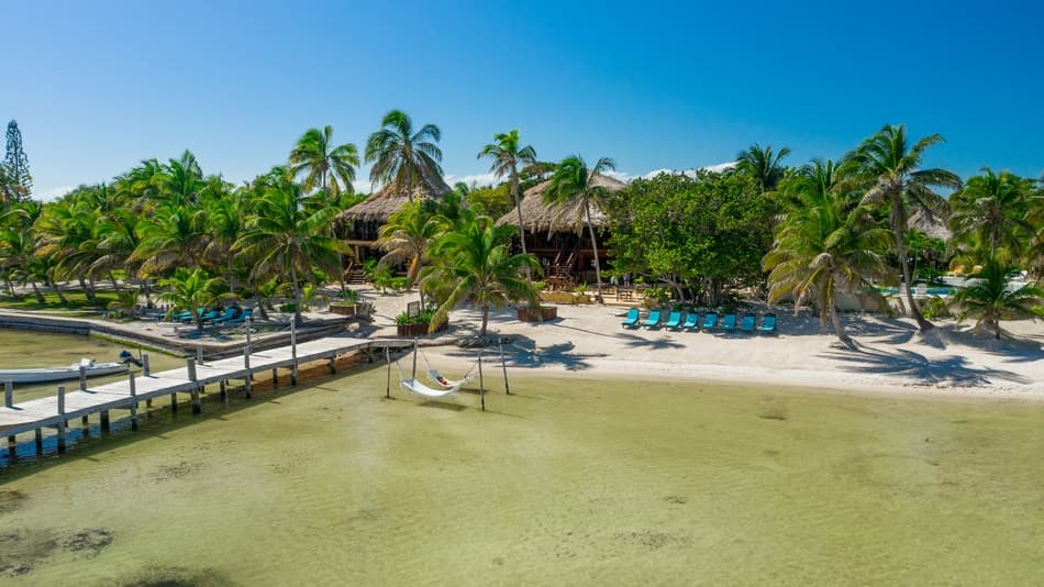 Tropical beach scene featuring palm trees, a wooden dock, and a hammock near a thatched-roof building.