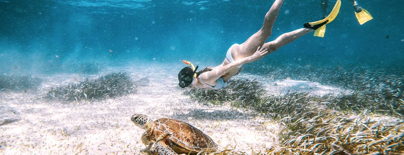 A swimmer dives underwater near a sea turtle surrounded by seagrass.