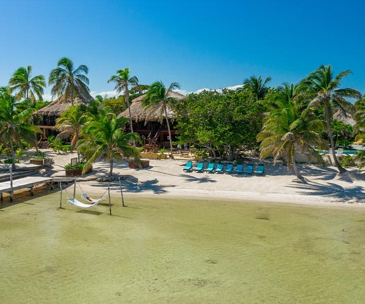Tropical beach scene with palm trees, a hammock, and lounge chairs beside a calm sea.