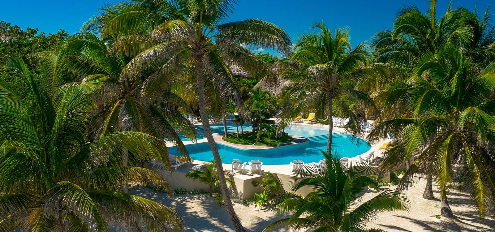 A serene swimming pool surrounded by palm trees under a clear blue sky.