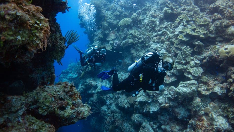 Two divers exploring a coral reef underwater.