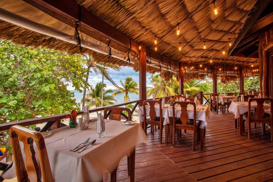 Cozy restaurant patio overlooking the ocean, surrounded by palm trees and soft lighting.