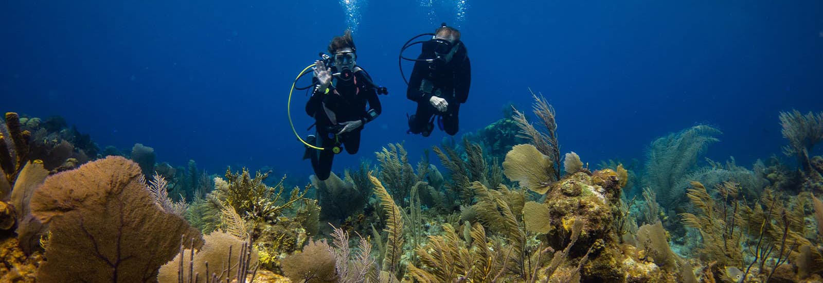 Two divers exploring a vibrant coral reef underwater.