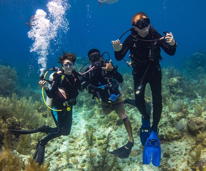 Three scuba divers underwater surrounded by marine life and coral.