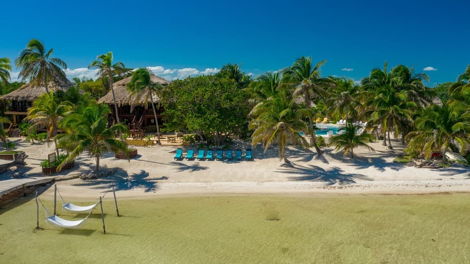 Tropical beach scene with palm trees, sandy shore, and lounging areas.