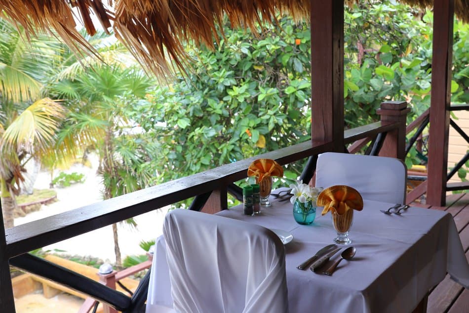A beautifully set dining table on a patio surrounded by lush greenery.
