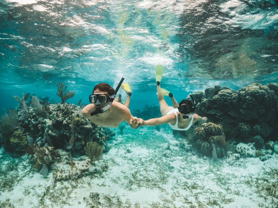 A couple snorkeling and holding hands underwater amidst vibrant coral.