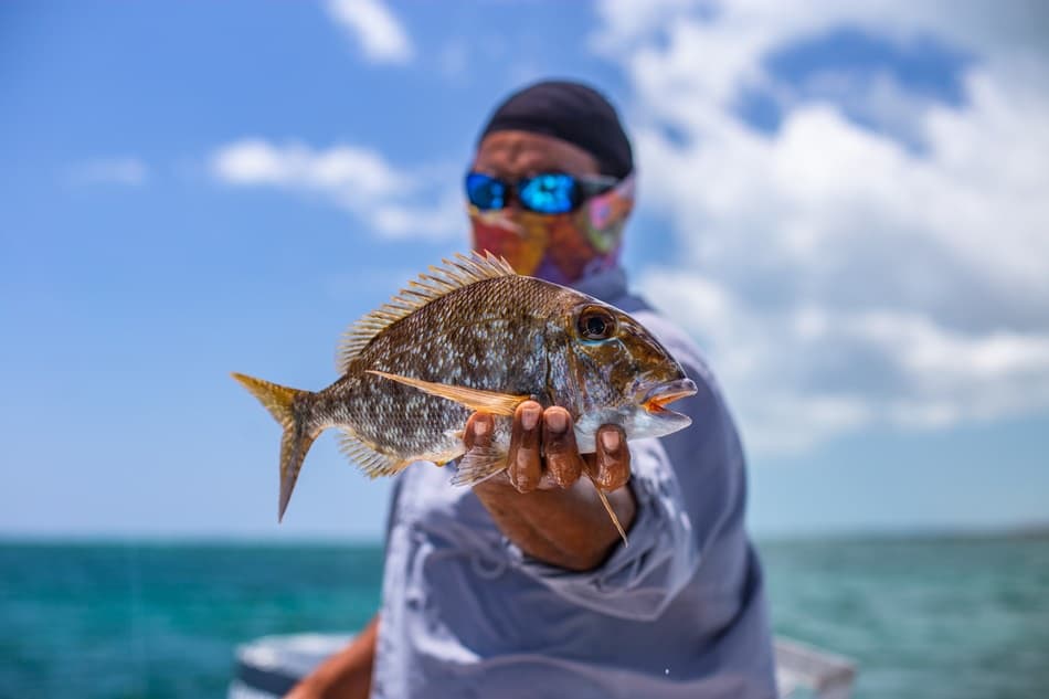 A person holds a fish against a coastal background.