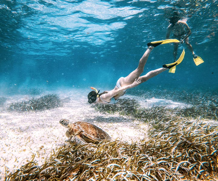 Ambergris Caye Belize Snorkeling Tours