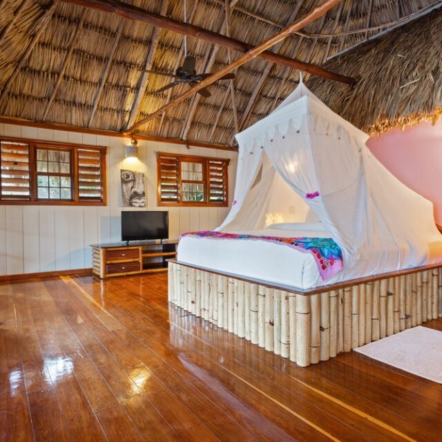 San Pedro Belize Treetop Suites