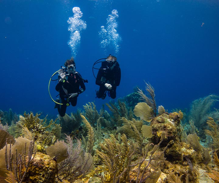 Ambergris Caye Belize Diving