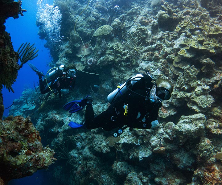 Ambergris Caye Diving Tours