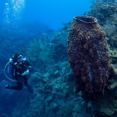 Ambergris Caye Belize