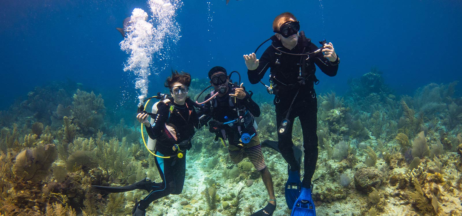 ambergris-caye-belize-scuba-diving-courses-action-divers-dive-shop